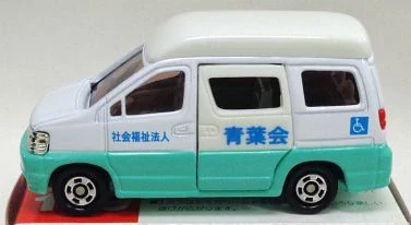 Care Support Car